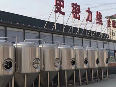 静安精酿啤酒设备厂—市场规模与跨界新需求